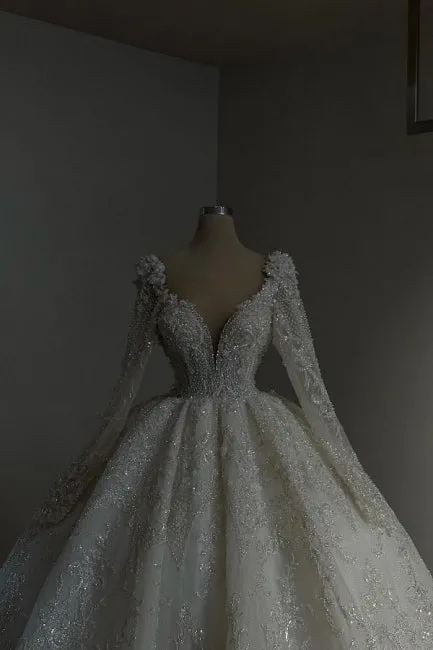 Amazing Long Princess A-line V-neck Lace Beading Wedding Dresses With Long Sleeves