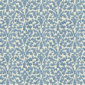 Bagatelle Forget Me Not